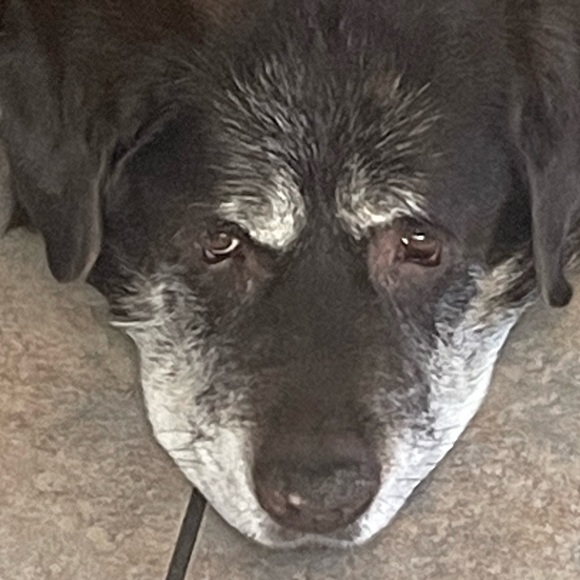 Meet your Posher, Angela - Picture 3 of 16